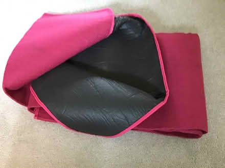 Photo of free Picnic rug hardly used (Horsham) #1