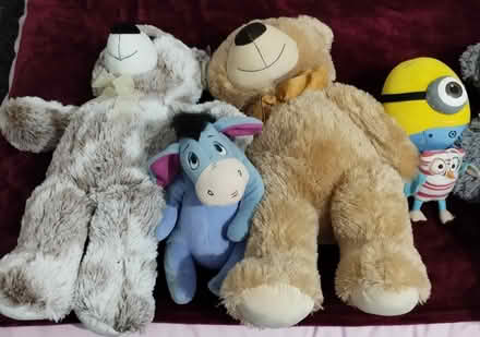 Photo of free Job lot of soft toys (Doncaster) #1
