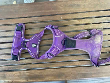 Photo of free Dog Harness (Alameda - East Side) #1