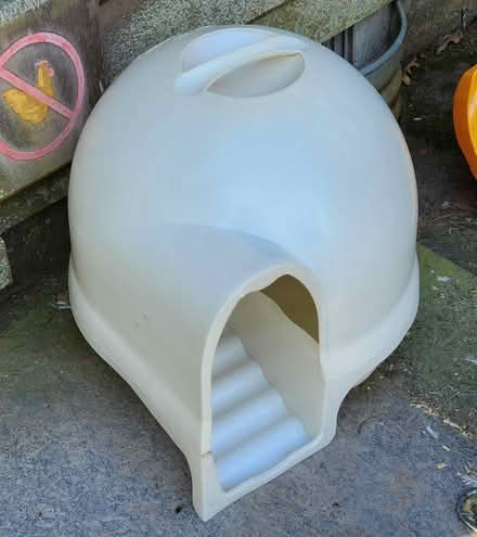 Photo of free Cat pan needing cat (High Falls) #1