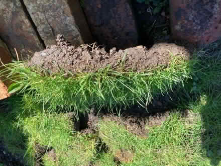 Photo of free Small turfs, just cut approx 22 sq.ft (Hastings TN35) #3