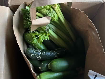 Photo of free One big box of vegetables (94022) #1