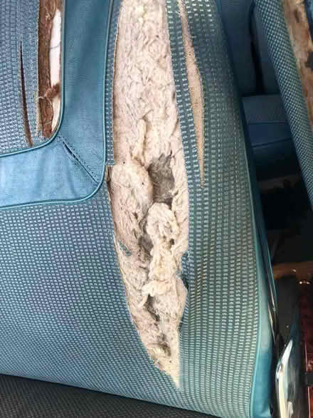 Photo of Upholstery fabric/industrial sewing machine (Bellingham SE6) #1