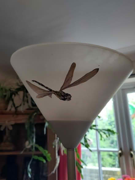 Photo of free Standard lamp. (The Plantation GL5) #4