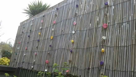 Photo of free Large Bagful Bottle Tops (Seaford (Seaford (off Alfriston Road)) #1