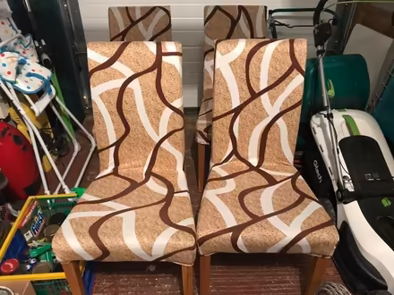 Photo of free 4 dining room chairs (Stone Cross BN24) #3