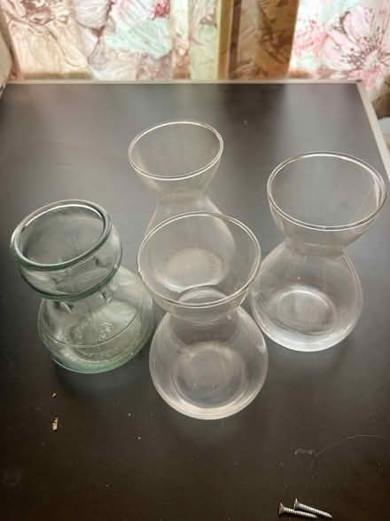 Photo of free 4 Hyacinth Glasses (CT12) #1