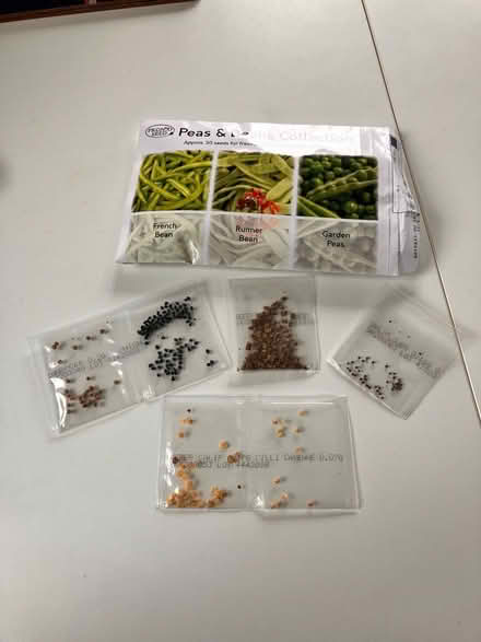 Photo of free Veg seeds (Brentwood CM14) #1