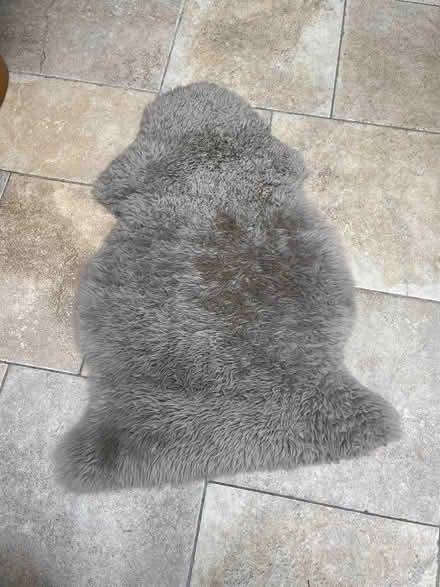 Photo of free Sheepskin Rug (Baguley M33) #1