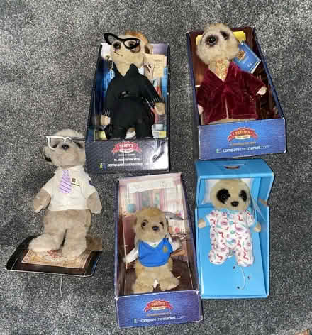Photo of free 5 x meerkats (Guildford GU1) #1