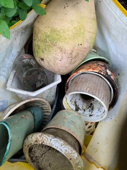 Photo of free Flower pots (Bilbrook WV8) #1