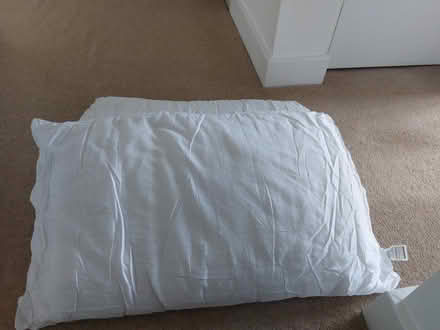 Photo of free 2 x Pillows, Nearly New (Rowlands Castle PO9) #1
