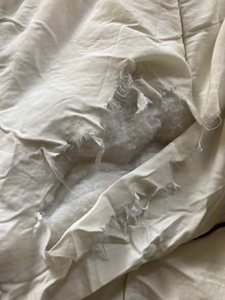 Photo of free Single duvet (Shipley BD18) #2