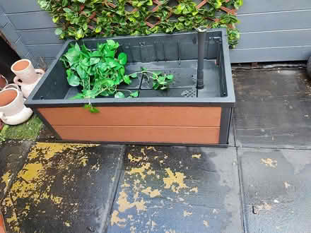 Photo of free Keter planter (MK42) #1