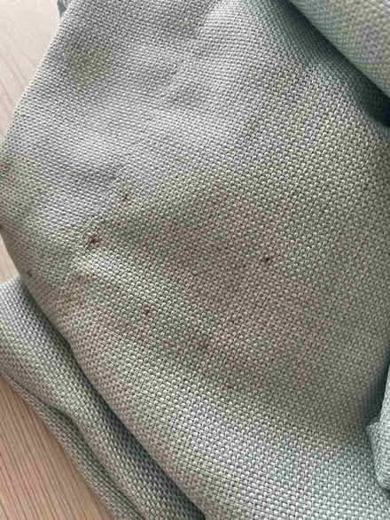 Photo of free Duck egg / light mint curtains x 4 (Pokesdown BH6) #3