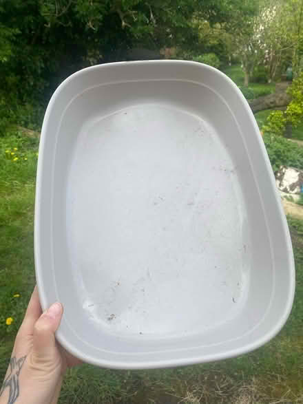 Photo of free Kitten litter tray (SN15 Chippenham) #1