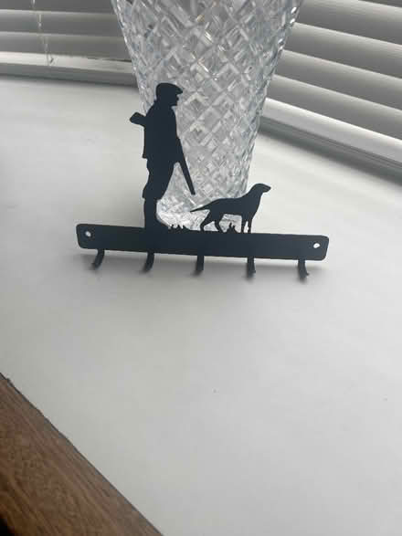 Photo of free Key hooks (Killinghall HG3) #1