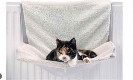 Photo of free metal wire of a cat bed, needs covers (Epsom KT18) #2