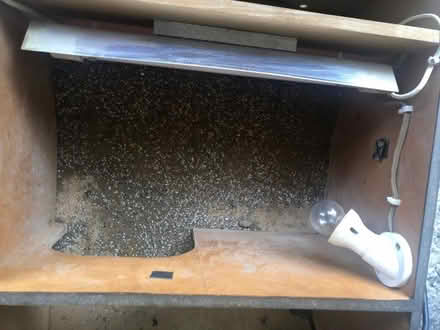 Photo of free Vivarium for young tortoise (Cox Green SL6) #1