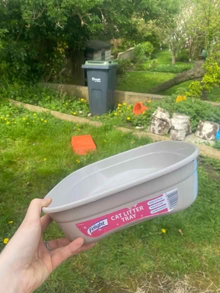 Photo of free Kitten litter tray (SN15 Chippenham) #2