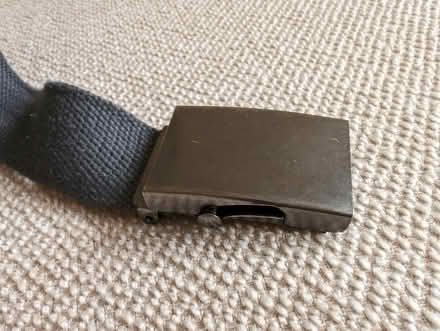 Photo of free Grey Belt (Bromley BR2) #2
