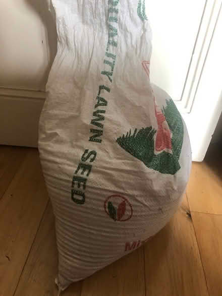 Photo of free lawn grass seeds (Dublin 6W) #1