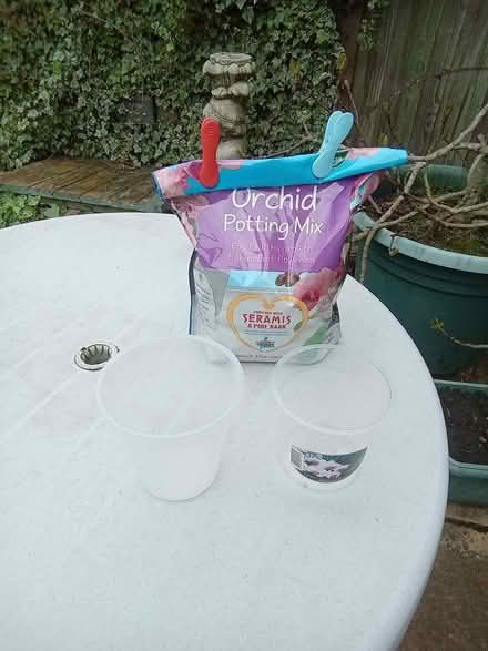Photo of free Orchid potting nmix and pots (Easthampstead RG12) #1