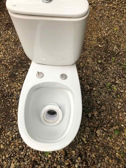Photo of free Perfect small toilet (Worcester Park KT4) #4