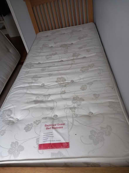 Photo of free 2 x single matresses VGC (Bexhill-on-Sea) #2
