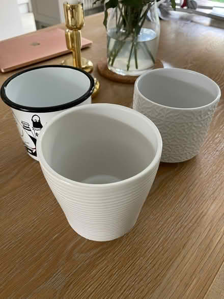 Photo of free 3 plant pots (Brixton SW2) #2
