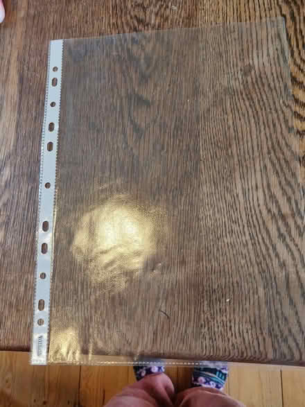 Photo of free plastic folders (N15 West Green) #1