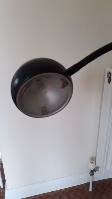 Photo of free Reading Light (Lexden CO3) #2