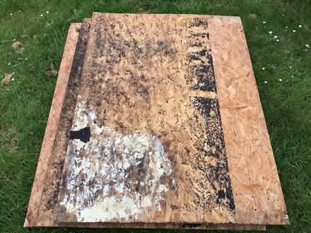 Photo of free Wood boards (used OSB) (Roselands, Eastbourne, BN22) #4