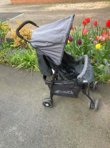 Photo of free Collapsible buggy (Carlton Miniott YO7) #1