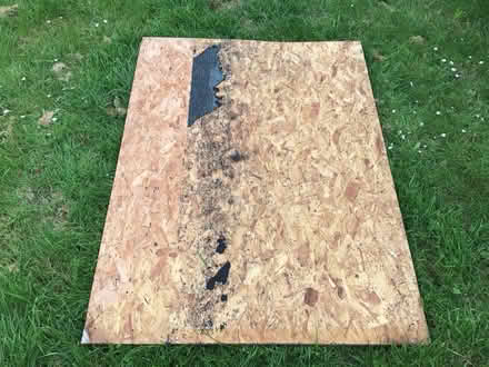 Photo of free Wood boards (used OSB) (Roselands, Eastbourne, BN22) #2