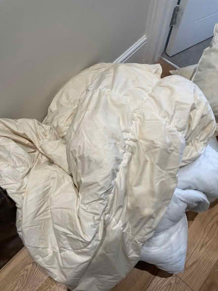 Photo of free Duvets x 3 (Balham SW17) #1
