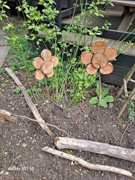 Photo of Circular slices of wood (Bedford, MK40) #1