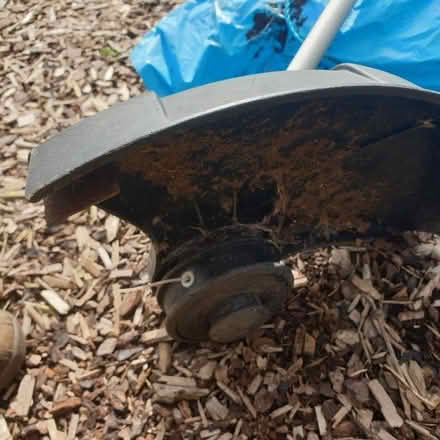 Photo of free Heavy duty mantis corded electric strimmer (Netherfield NG4) #2