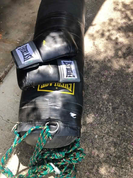 Photo of free Punching bag/boxing gloves (Cambrian) #1