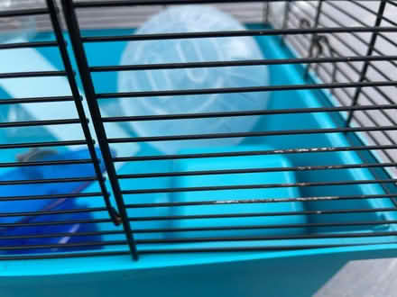 Photo of free Hamster cage (Urmston Manchester M41) #3