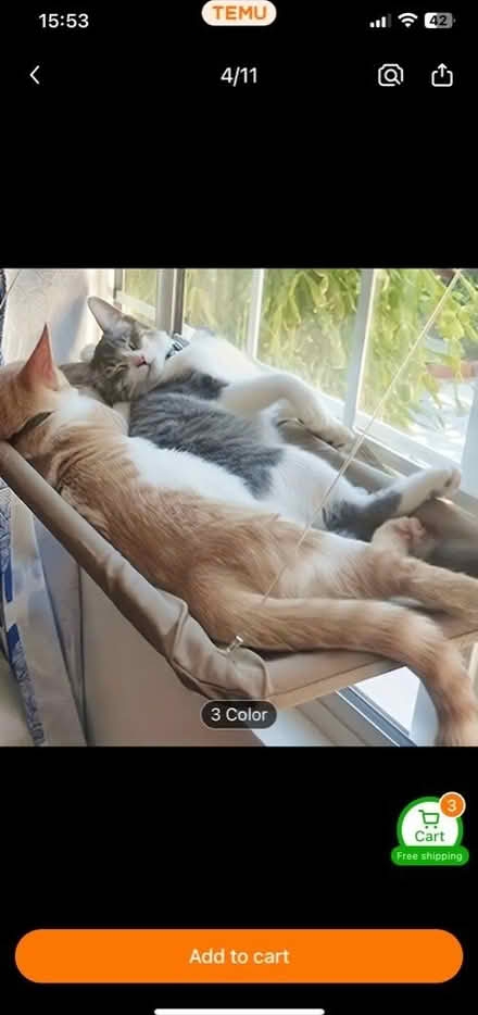 Photo of free Cat window bed (SL2 slough) #2