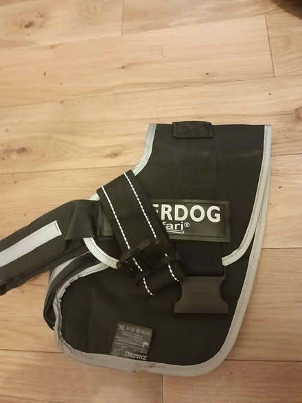 Photo of free Large dog harness (PH10 Rattray) #1