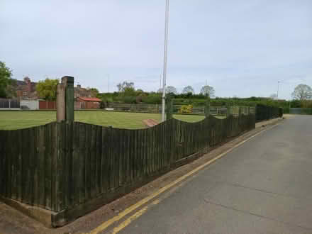 Photo of Climbing plants (Yaxley) #1