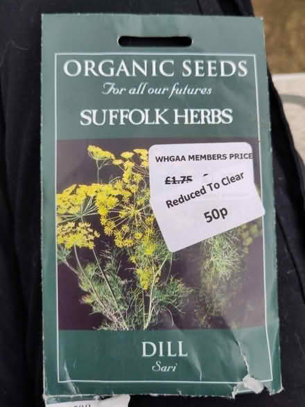 Photo of free Dill seeds (Tattenhoe MK4) #1