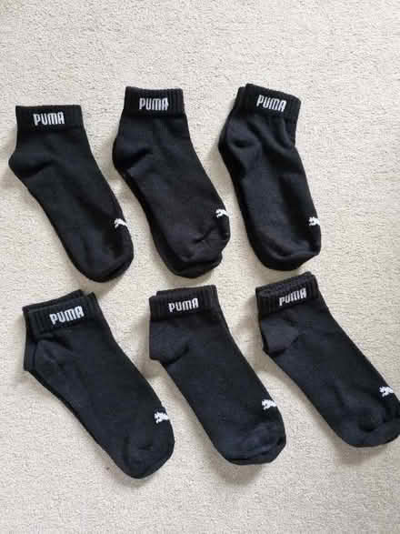 Photo of free Trainerssocks (Stoke Hill EX4) #1