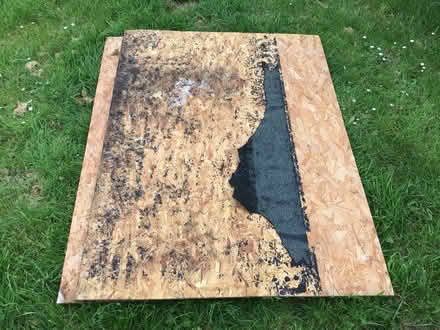 Photo of free Wood boards (used OSB) (Roselands, Eastbourne, BN22) #3