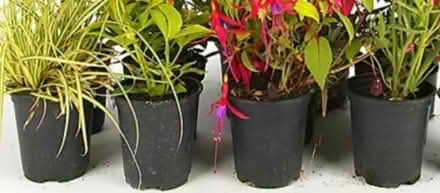 Photo of Plant pots/troughs (Trench TF2) #1