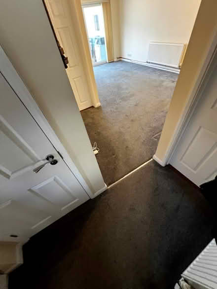 Photo of free Dark grey carpet and underlay. (Oulton NR32) #3