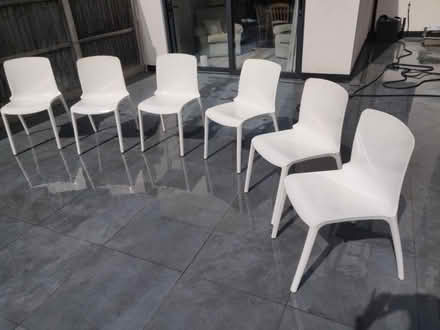 Photo of free Six matching white plastic chairs (New Barnet EN4) #1