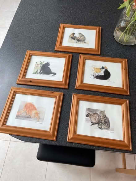 Photo of free 5 cat prints in frames (Kenilworth CV8) #1